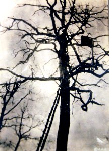 German observation post and machine gun in Belleau Wood, France, WWI (32824652355)