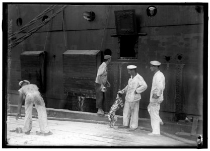 GERMAN SAILORS INTERNED IN U.S. LCCN2016867491