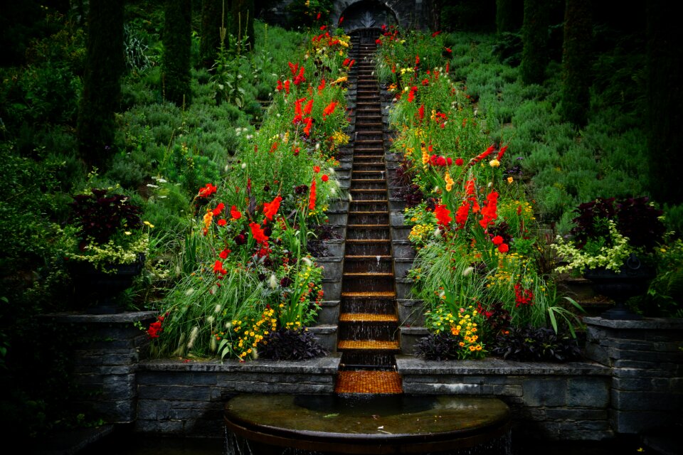 Mainau island lake constance planted