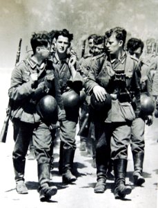 German troops going to France, WWII (34034998545)