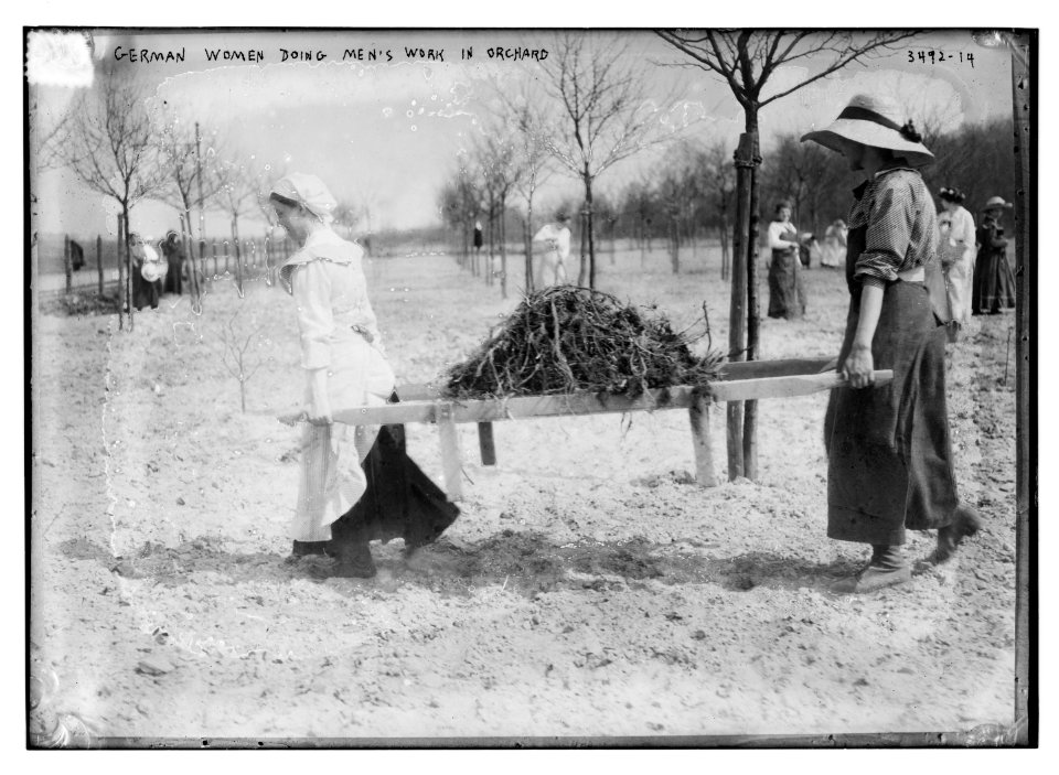 German women doing men's work in orchard LCCN2014699135