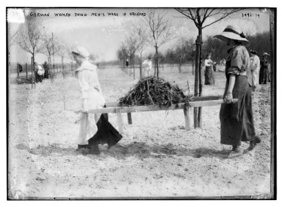 German women doing men's work in orchard LCCN2014699135