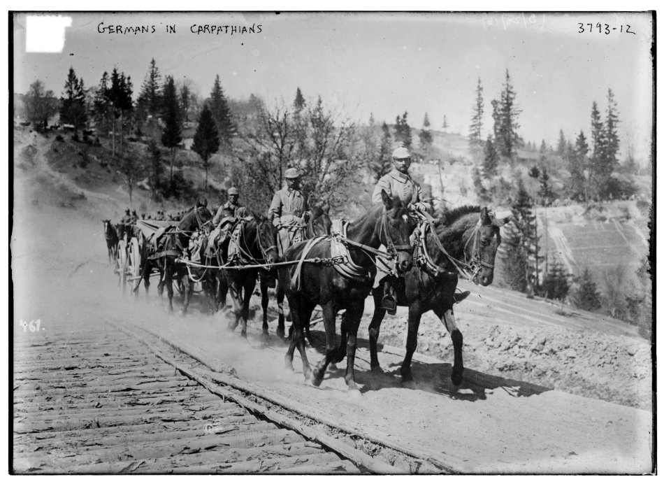 Germans in Carpathians LCCN2014701252