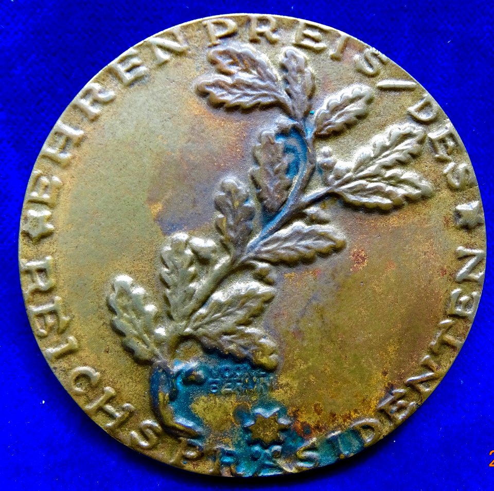 Germany Award Medal 1929 (ND) Verfassungstag, reverse