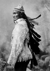 Geronimo (From L. D. Greene Album) - NARA - 533082restoredh