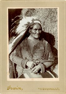 Geronimo, by William Irwin