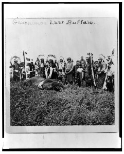 Geronimos last buffalo LCCN2001695439