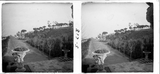 Gerros i passeig del parc de Montjuïc de Barcelona