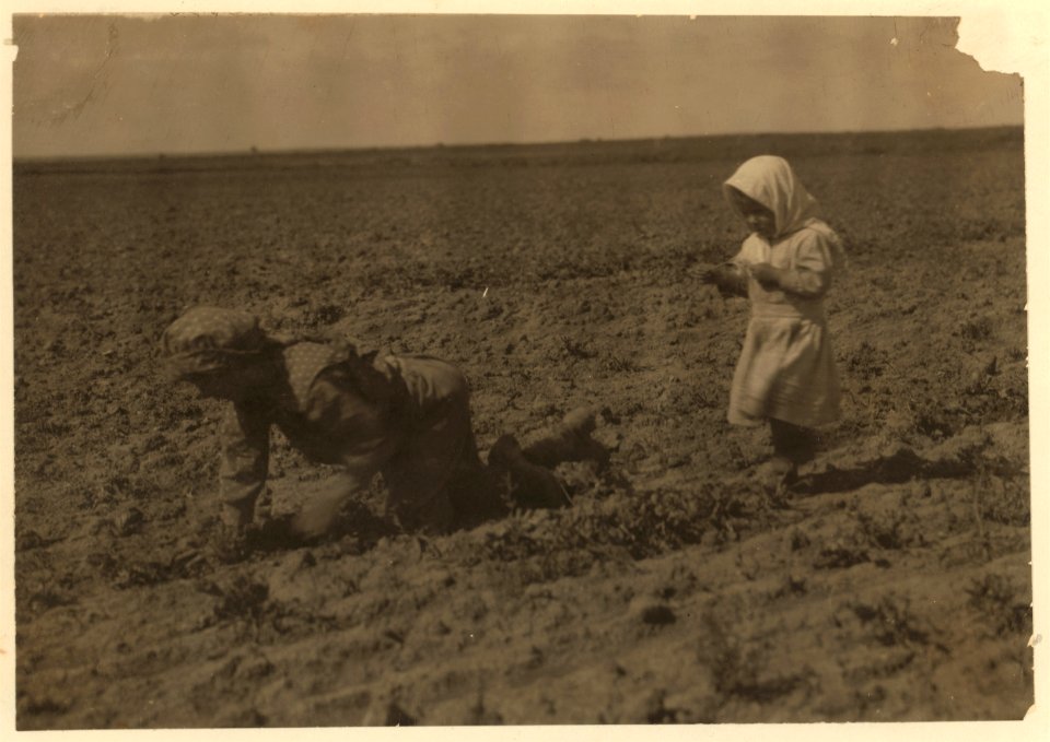 Eleven-year old Elizabeth who has been working in the sugar beets near Ordway, Colorado, for one year. The family moved here from Southern Russia three years ago. She said- 'I don't like the LOC nclc.00261