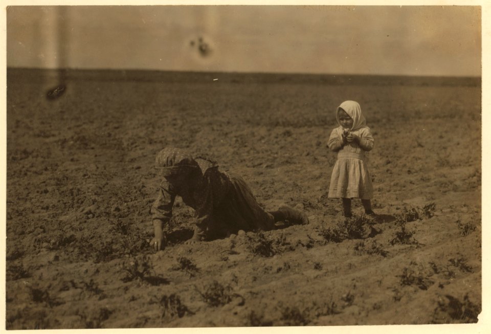 Eleven-year old Elizabeth who has been working in the sugar beets near Ordway, Colorado, for one year. The family moved here from Southern Russia three years ago. She said- 'I don't like the LOC nclc.00262