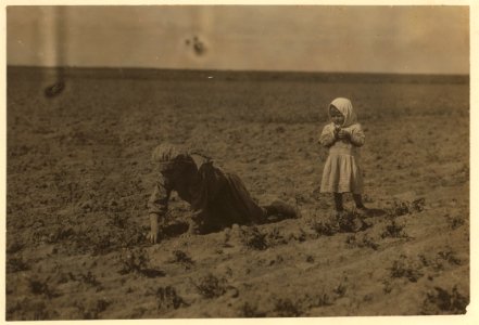 Eleven-year old Elizabeth who has been working in the sugar beets near Ordway, Colorado, for one year. The family moved here from Southern Russia three years ago. She said- 'I don't like the LOC nclc.00262