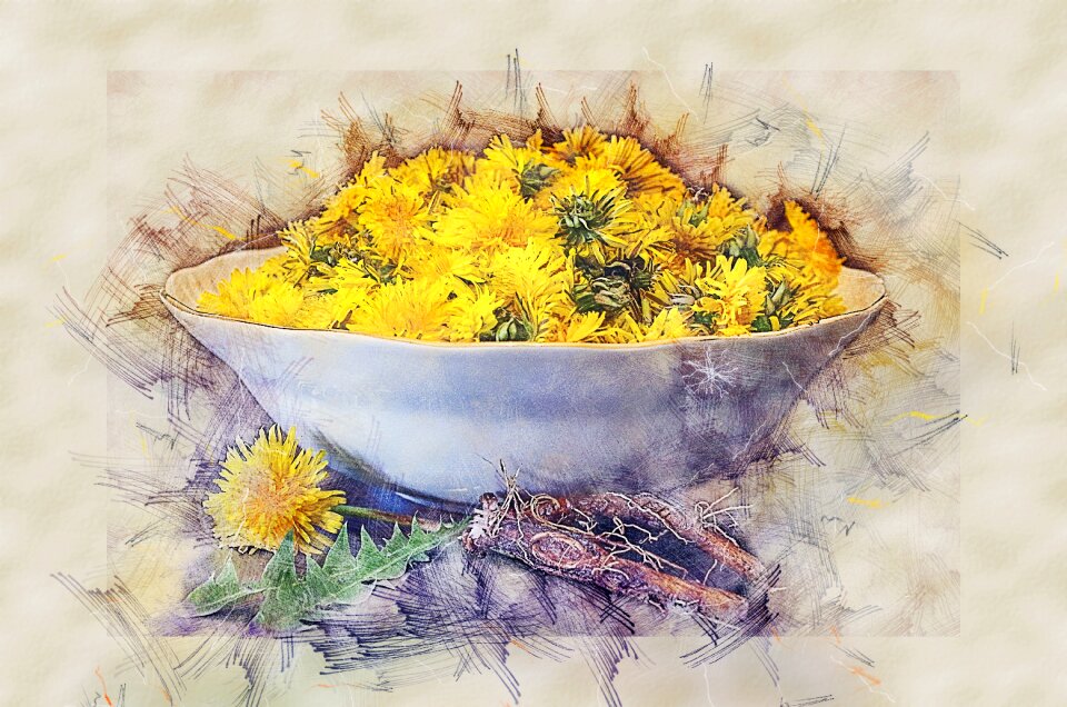 Flowers recipe the root of the