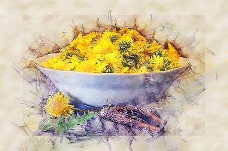 Flowers recipe the root of the
