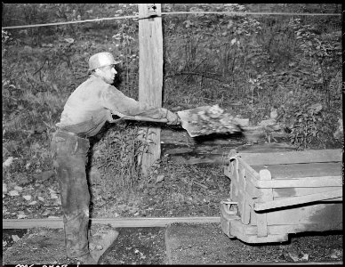 Eli Sanders, Tipple Worker, Loads Coal on Car Which Has Fallen off Cars Enroute to Tipple (3904010672)