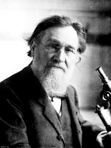 Elie Metchnikoff. Photogravure after Henri Manuel. Wellcome M0002363
