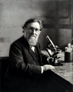 Elie Metchnikoff. Photogravure after Henri Manuel. Wellcome V0026855