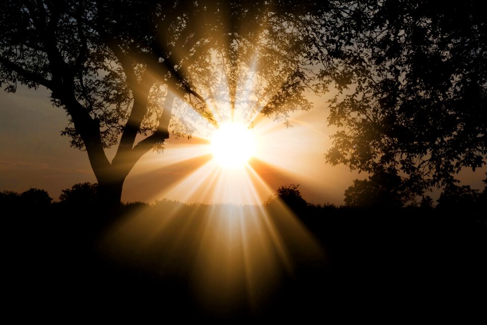 Bright light sunset