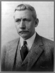 Elihu Root, 1845-1937, bust portrait, facing left LCCN2005689591