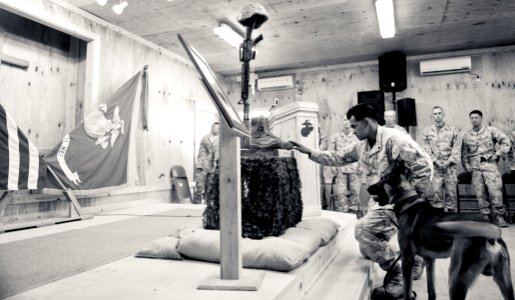 Elite dog handler honored at Camp Leatherneck 111008-N-TH989-228