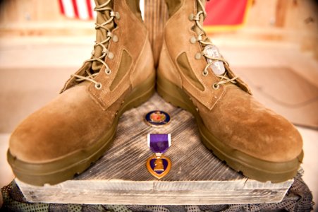 Elite dog handler honored at Camp Leatherneck 111008-N-TH989-045