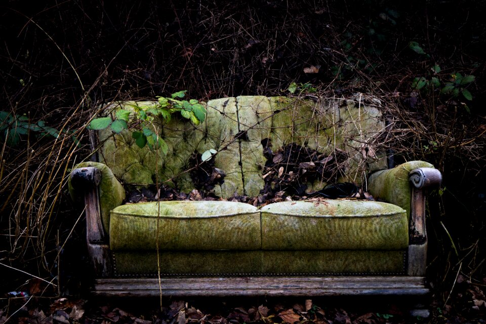 Plant sofa abandoned