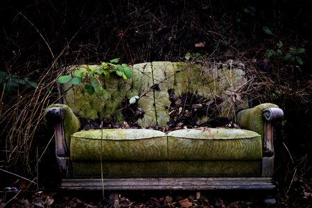 Plant sofa abandoned