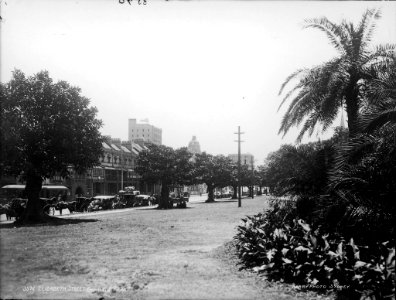 Elizabeth Street from Hyde Park, Sydney from The Powerhouse Museum Collection