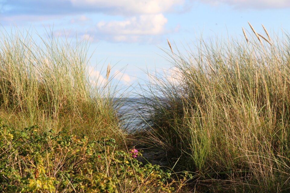 North sea beach sea