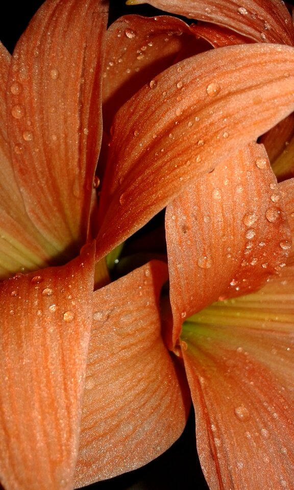 Desktop water drops outdoors