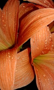 Desktop water drops outdoors