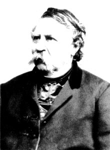 Ellinger Portrait of Ferenc Deák 1870s A
