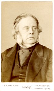 Elliott & Fry 55, Baker Street, Portman Square, John Bright carte de visite about 1880 front