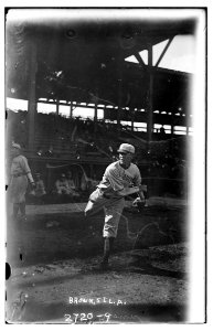 Elmer Brown, St. Louis AL (baseball) LCCN2014693237