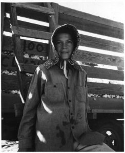 Eloy District, Pinal County, Arizona. At the cotton wagon. Migratory cotton picker. She came from Ok . . . - NARA - 522551