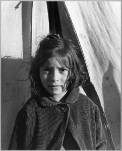 Eloy District, Pinal County, Arizona. 7-30 A.M. Migratory cotton pickers' children come out of the t . . . - NARA - 522034