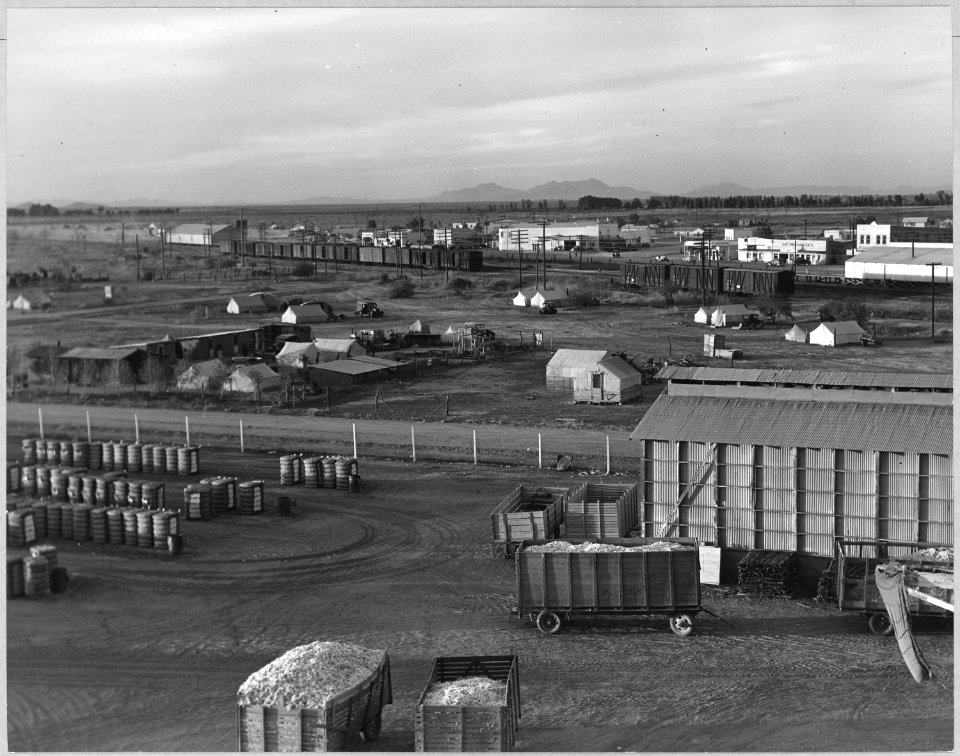 Eloy District, Pinal County, Arizona. Cotton pickers' squatter camp seen across the ginyard, lettuce . . . - NARA - 522268