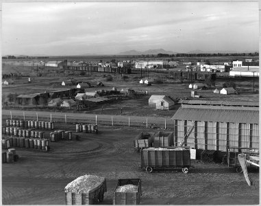 Eloy District, Pinal County, Arizona. Cotton pickers' squatter camp seen across the ginyard, lettuce . . . - NARA - 522268