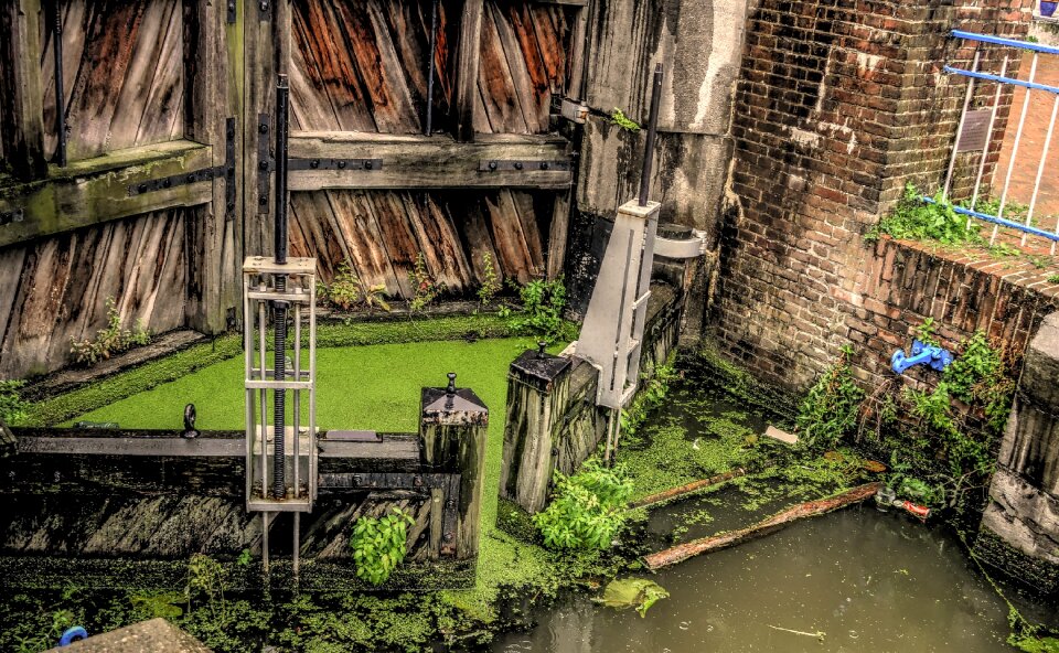 Maassluis offspring water