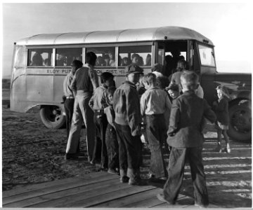 Eloy District, Pinal County, Arizona. Children in a democracy. Bus carries migratory cotton pickers' . . . - NARA - 522028