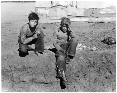 Eloy District, Pinal County, Arizona. Cotton pickers, Mexican children, in ditch bank at the edge of . . . - NARA - 522047