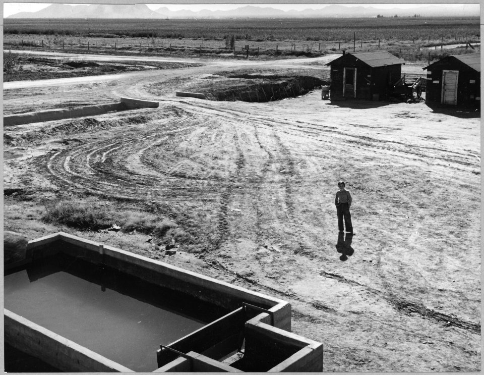 Eloy District, Pinal County, Arizona. Entrance to cotton camp. - NARA - 522019