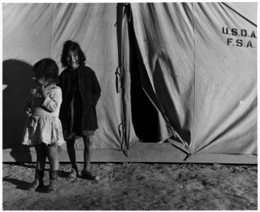Eloy District, Pinal County, Arizona. Seven-thirty A.M. Migratory cotton picker's children come out . . . - NARA - 522031