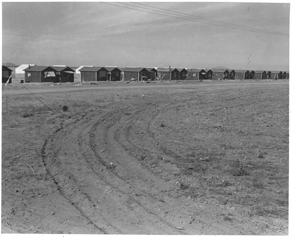 Eloy District, Pinal County, Arizona. Large grower's camp for cotton pickers in the Eloy District. - NARA - 522496