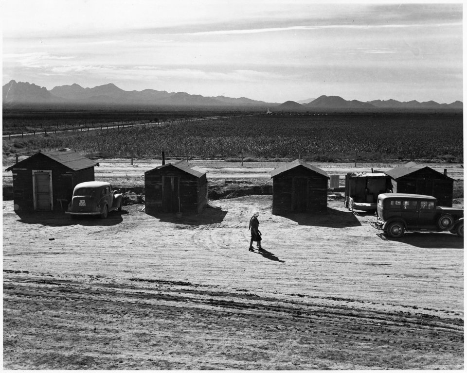 Eloy District, Pinal County, Arizona. This camp has 8 lumber shacks, 12 tents (without floors), 2 to . . . - NARA - 522027