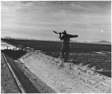 Eloy District, Pinal County, Arizona. Mexican irrigator on duty preparing field for flax cultivation. - NARA - 522525