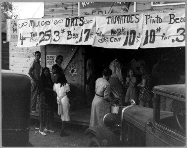 Eloy, Pinal County, Arizona. Orange and blue stamps swell the migratory cotton pickers' demand for f . . . - NARA - 522281