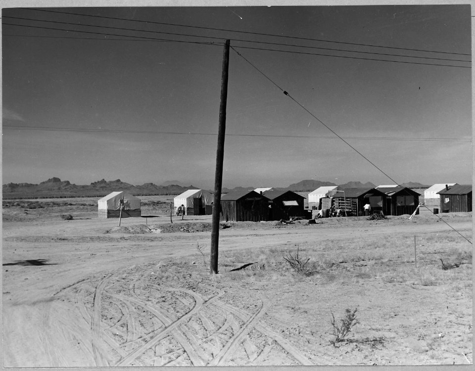 Eloy, Pinal County, Arizona. Part of large grower's camp for cotton pickers in the Eloy District. - NARA - 522227