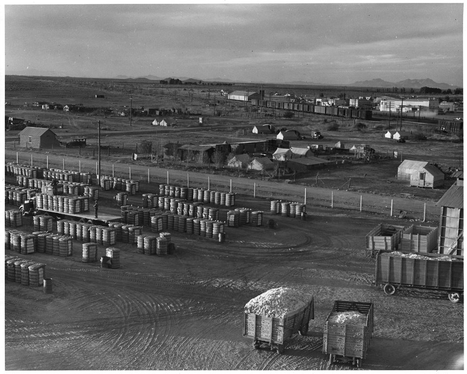 Eloy, Pinal County, Arizona. Cotton yard, pickers' squatter camp, lettuce, shed, and main street of . . . - NARA - 522516