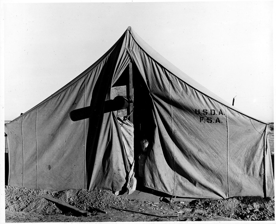 Eloy District, Pinal County, Arizona. Seven-thirty A.M. Migratory cotton picker's children come out . . . - NARA - 522032
