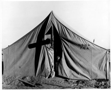Eloy District, Pinal County, Arizona. Seven-thirty A.M. Migratory cotton picker's children come out . . . - NARA - 522032